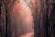 大巴黎对决巴萨，谁能在欧冠赛场笑到最后？